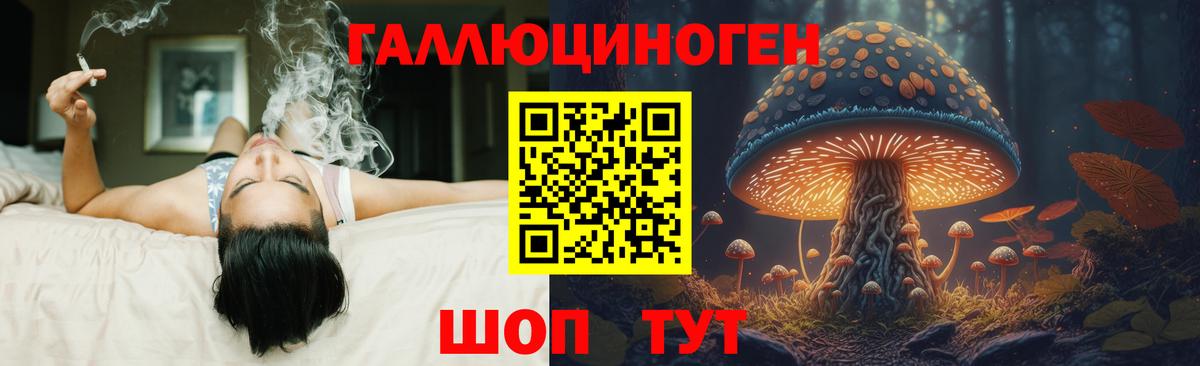 Галлюциногенные грибы Cubensis  Вход с VPN  Королёв 